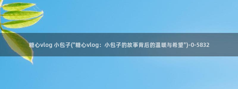糖心vlog开车视频