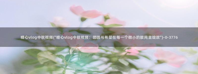 糖心vlog网站App