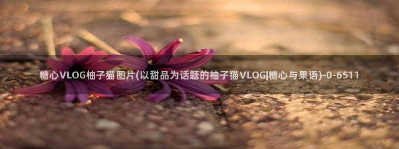糖心vlog分享