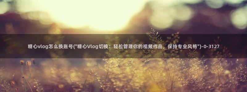 糖心vlog介绍