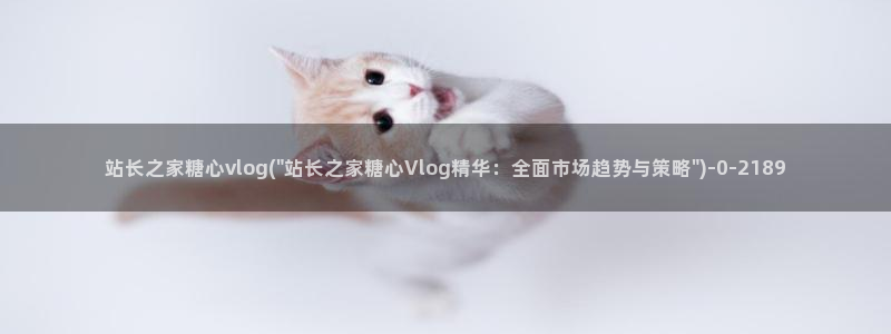 糖心vlog出品小桃