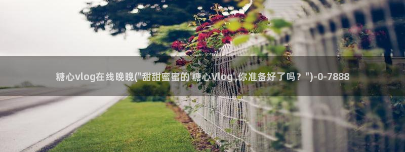 糖心vlog软件博客：糖心vlog在线晚晚(\