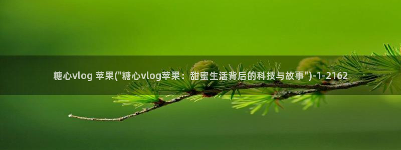 糖心vlog出品小桃