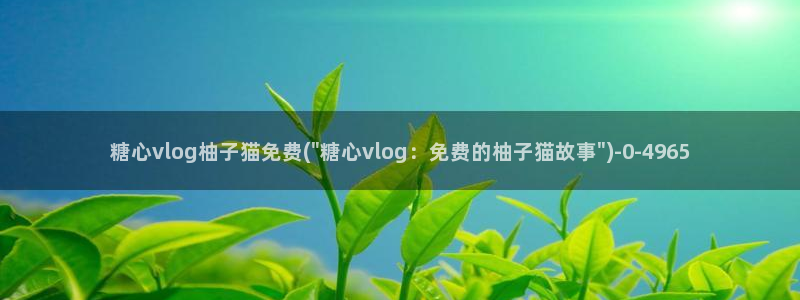 糖心vlog红色超短