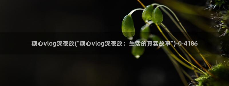 糖心vlog王者