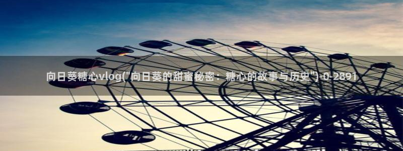 糖心vlog视频