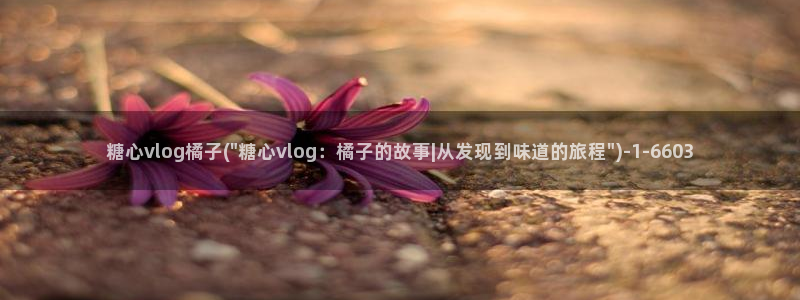 糖心vlog苏苏