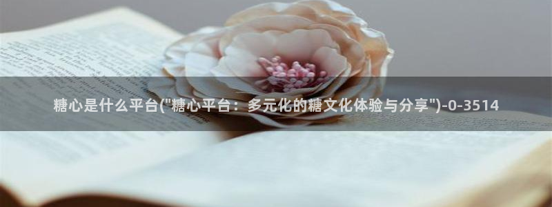 心糖vlog免费在线观看