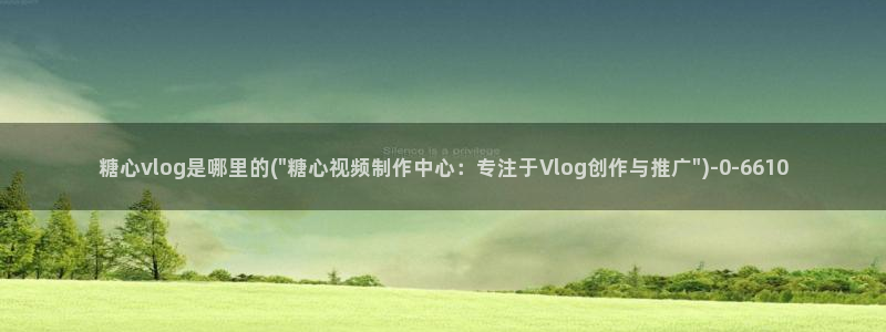 糖心vlog破解教程