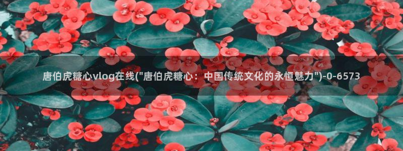 糖心的vlog日常：唐伯虎糖心vlog在线(\
