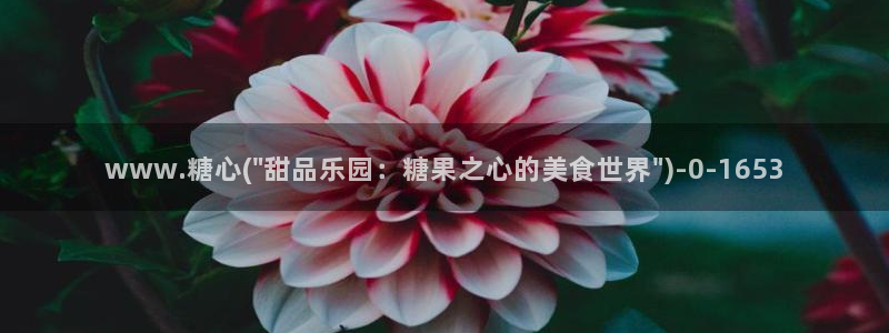 糖心vlog平台：www.糖心(\