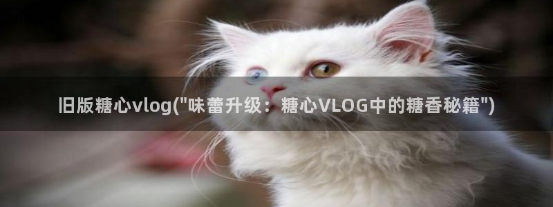 国产糖心vlog下载：旧版糖心vlog(\