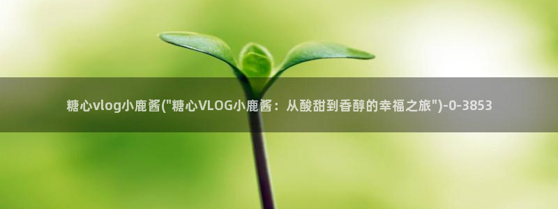 糖心vlog资源下载：糖心vlog小鹿酱(\