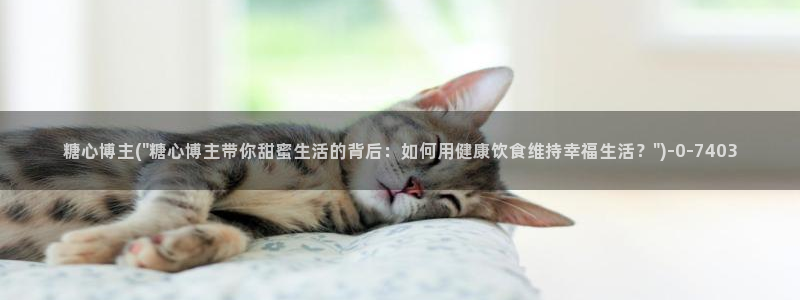 糖心vlog观看