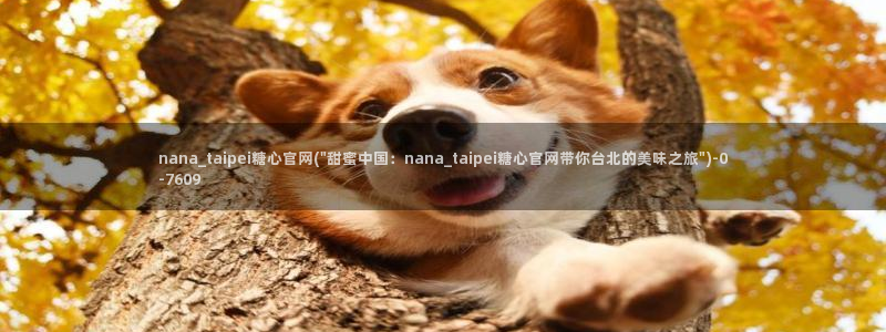 糖心vlog中国