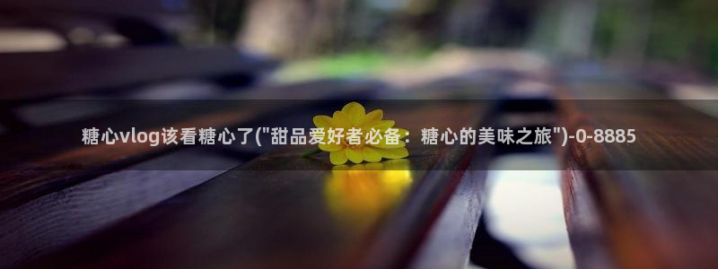 心糖vlog记录
