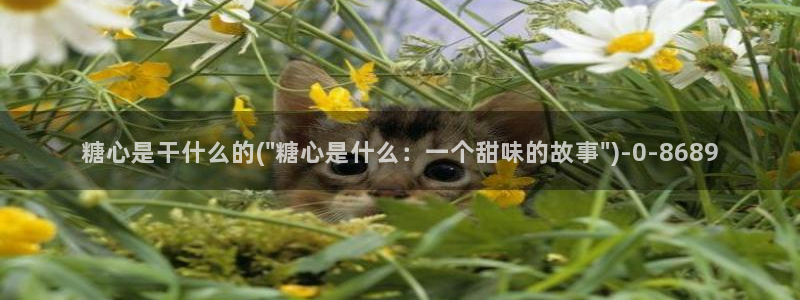 糖心vlog冉冉学姐