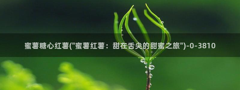 糖心vlog精产