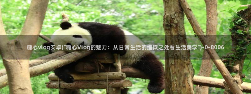糖心vlog什么意思