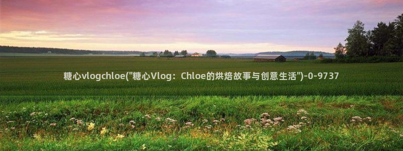 糖心vlog下载破解版